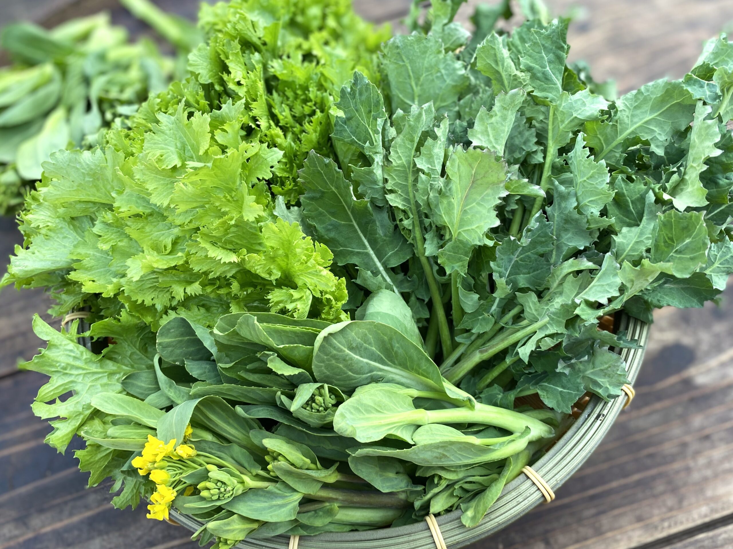 おまかせ葉物野菜セット100g×6袋