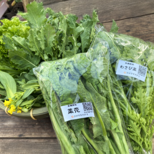 おまかせ葉物野菜セット100g×20袋