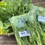 おまかせ葉物野菜セット100g×6袋