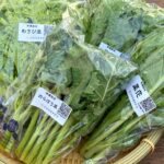 おまかせ葉物野菜セット100g×6袋