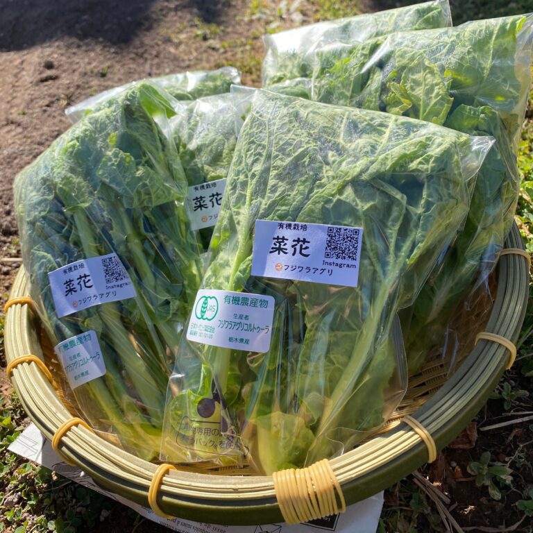 なばな100g×6袋