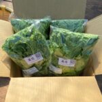 なばな100g×6袋