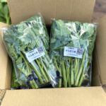 のらぼう菜100g×6袋