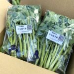 のらぼう菜100g×6袋