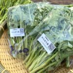 のらぼう菜100g×6袋
