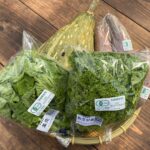 野菜セット3㎏