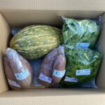 野菜セット3㎏