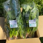 ほうれん草200g×6袋