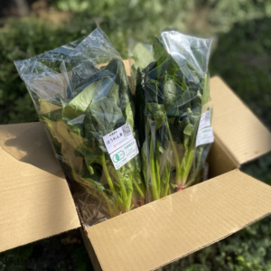 ほうれん草200g×6袋
