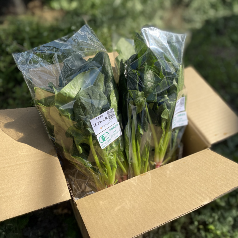 ほうれん草200g×6袋