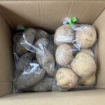 こだわりじゃがいも2種セット