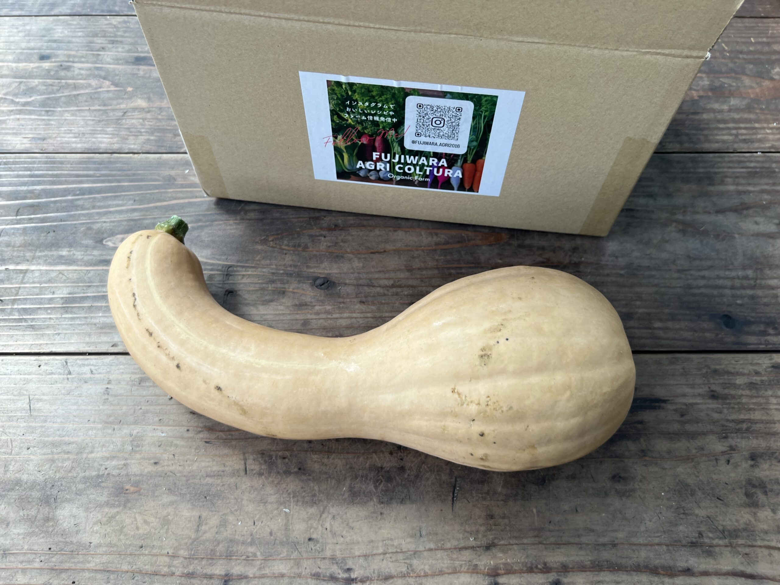 つるくびかぼちゃ