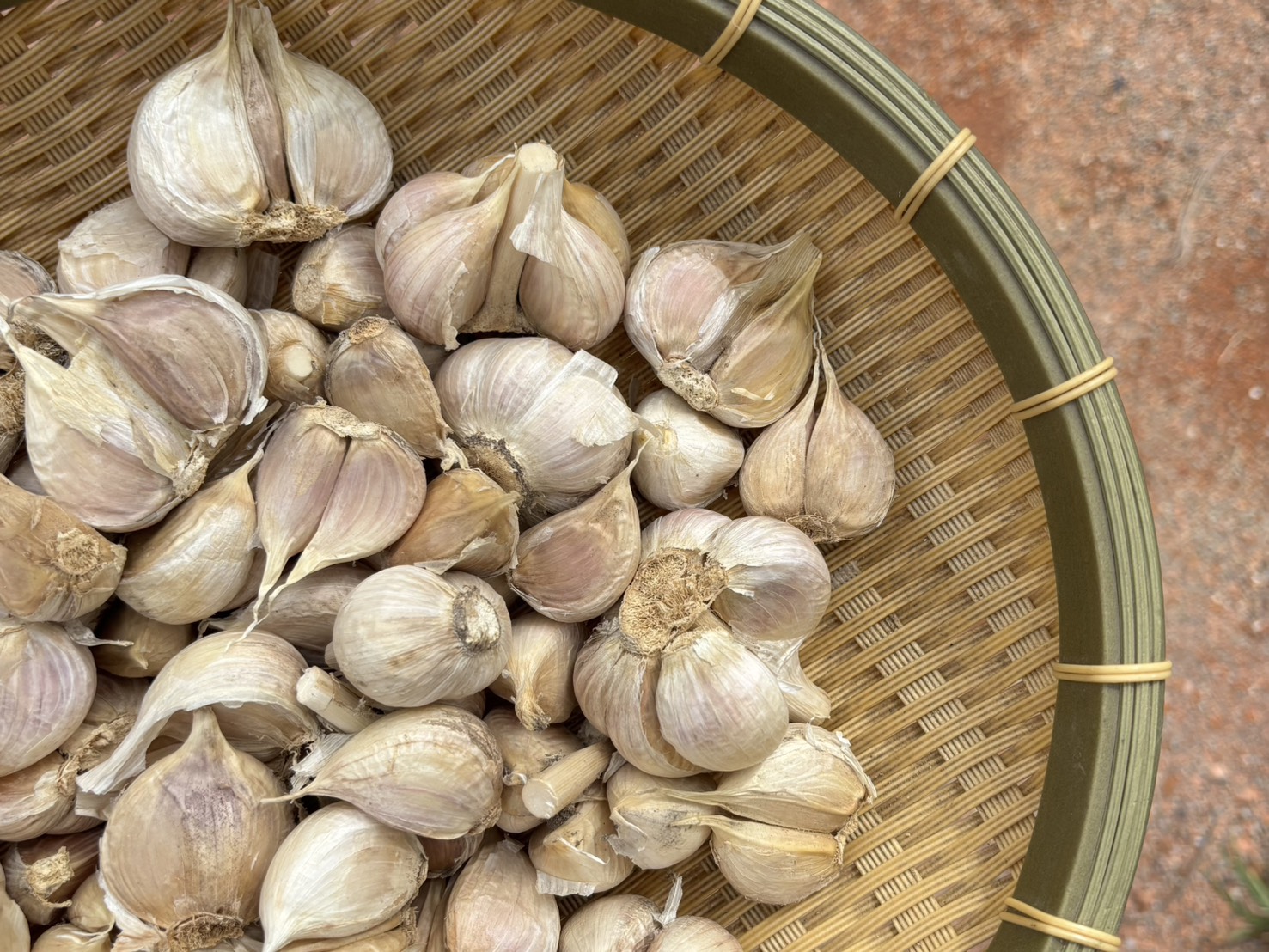 garlic_1kg