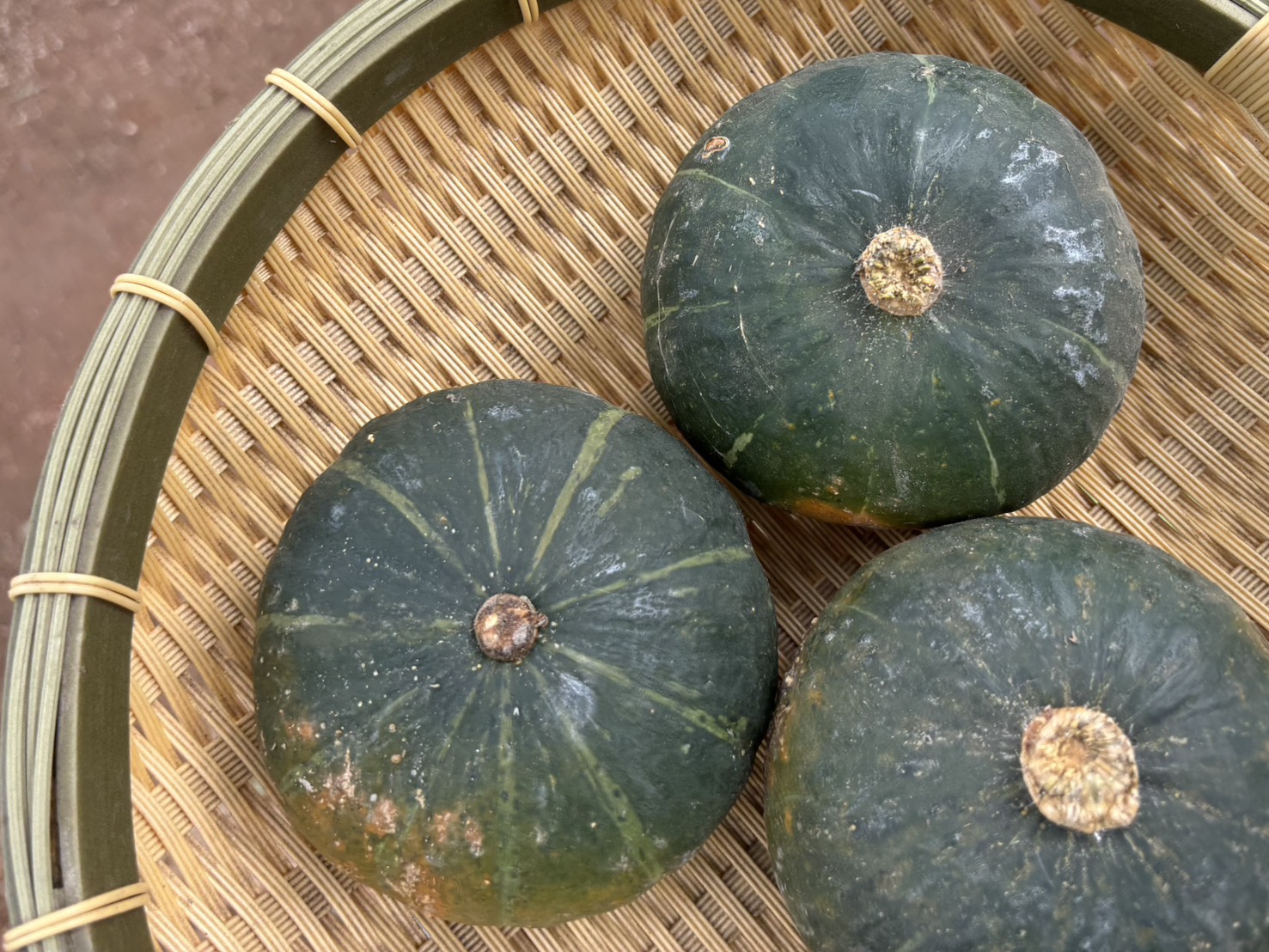 Pumpkin
