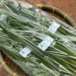 leek