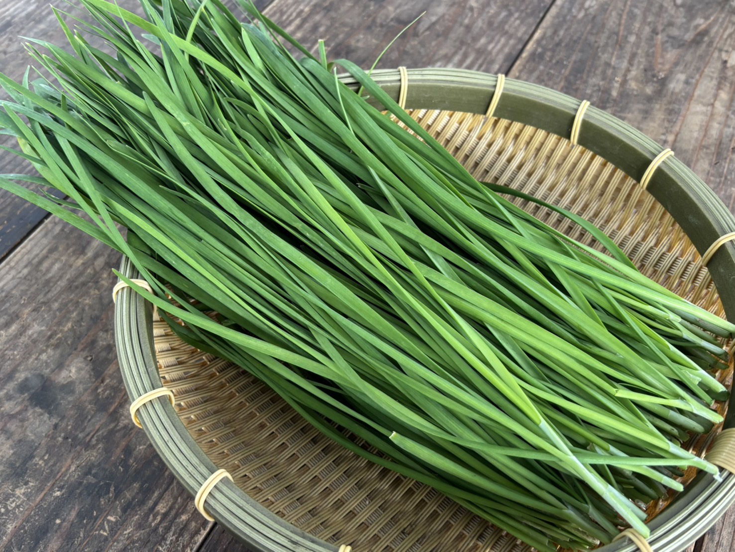 leek